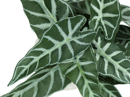 Artificial Alocasia Plant (Set of 2)