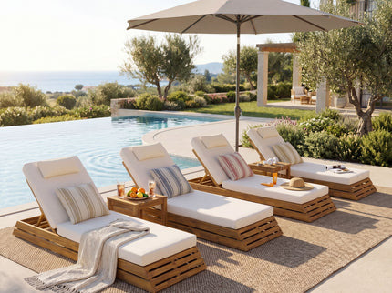 Chaise Lounge Set With 2 Fold Cushion