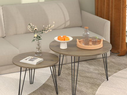 Round Nesting Coffee Table For Living Room (Set of 2)