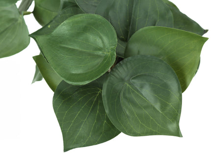 Artificial Alocasia Plant (Set of 2)