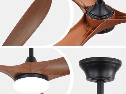 Smart Ceiling Fan With Lights, 3 Blades, Reversible Quiet DC Motor For Indoor