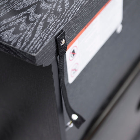 Storage Cabinet With 3 Mirrored Acrylic Doors, Adjustable Shelves