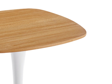 Modern Stylish Design Dining Table