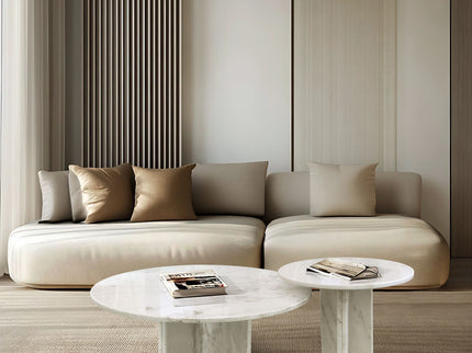 Elegant Coffee Duo Table Set