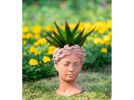 D7X11" Visage Head Bust Planter - Brown