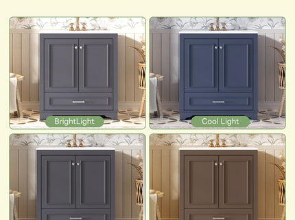 Bathroom Vanity With Sink, Cabinet & 2 Soft Closing Doors & Adjustable Shelf