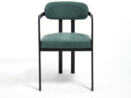 Dining Arm Chairs (Set of 2)