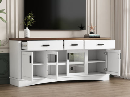 Modern TV Console & Adjustable Shelves
