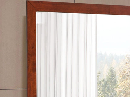 Burlington - Modern Design Transitional Wall Mirror