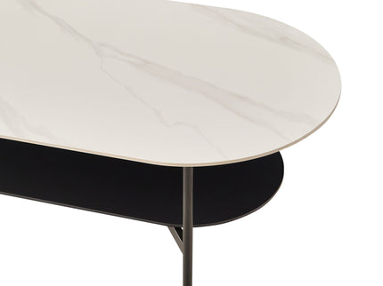 Contemporary Coffee Table Sintered Stone Surface With Ceramic Finish Double Layer Design Base Matte Shelf Modern Living Room Center Table - White / Gray