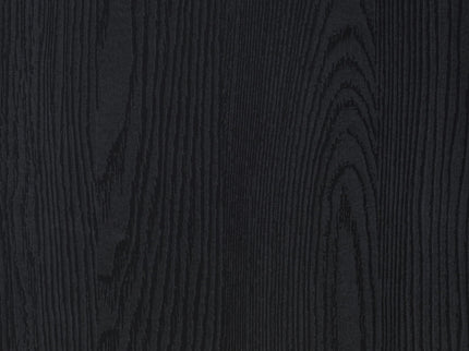 Ian - 2 Door TV Stand Media Console With Storage - Black