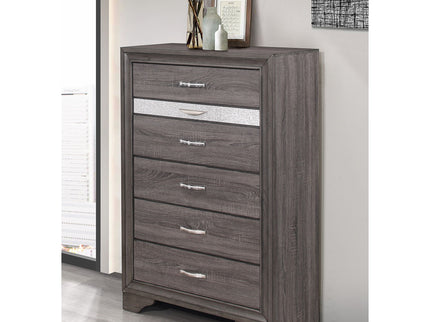 Ryder - Sparkle Chest - Gray