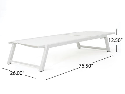 Myers - Modern Chaise Lounge Set With Adjustable Back