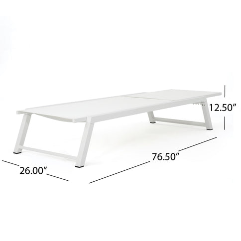 Myers - Modern Chaise Lounge Set With Adjustable Back