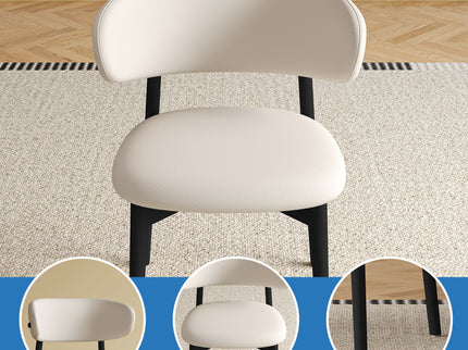 Mid-Century Modern Dining Chair (Set of 2)