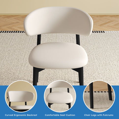 Mid-Century Modern Dining Chair (Set of 2)
