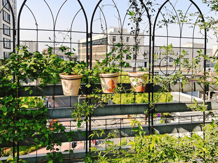 Metal Garden Trellis Rustproof Trellis For Climbing Plant, Outdoor Flower Support