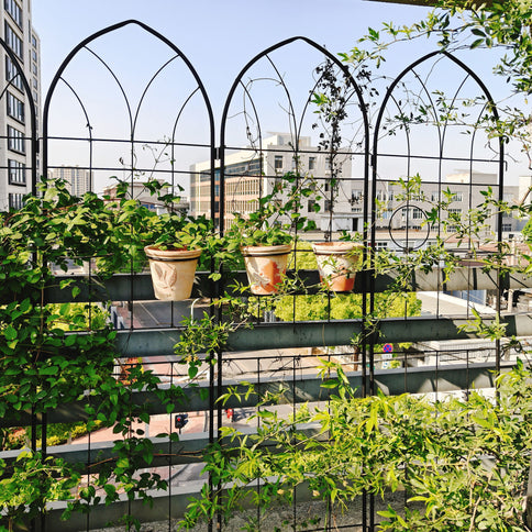 Metal Garden Trellis Rustproof Trellis For Climbing Plant, Outdoor Flower Support