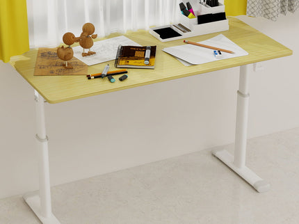 Adjustable Home Office Desk