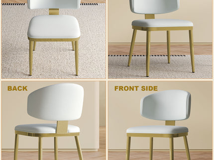 Modern Dining Chairs For Kitchen (Set of 2)