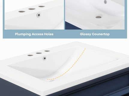 Bathroom Vanity With Top Sink, Storage Cabinet With 2 Drawers, Tip Out Drawer