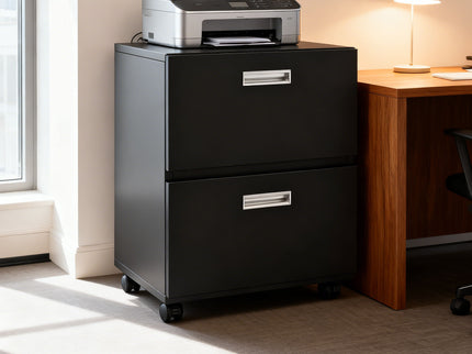 Office Furniture Copier Cabinet 2 Door Steel Copier Stand Mobile Pedestal File Printer Stand - Black