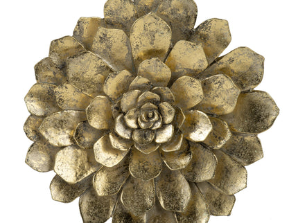 Succulent Wall Plaque