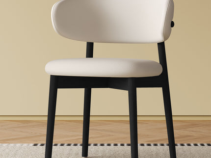 Mid-Century Modern Dining Chair (Set of 2)
