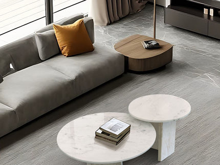 Elegant Coffee Duo Table Set