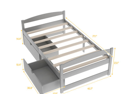 Platform Bed With 2 Drawers