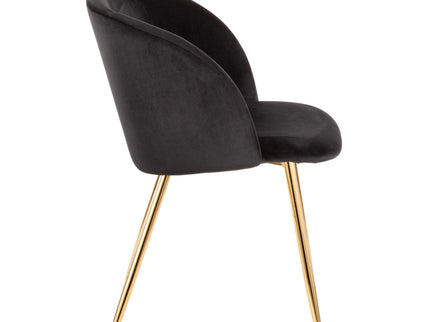 Fran - Contemporary Elegant Design Chair (Set of 2)