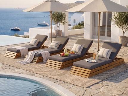 Chaise Lounge Set With 2 Fold Cushion