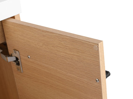 Bathroom Vanity Set With Resin Countertop Sink, 2 Doors