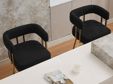 Decorative Upholstered Side Chair For Living Room (Set of 2)
