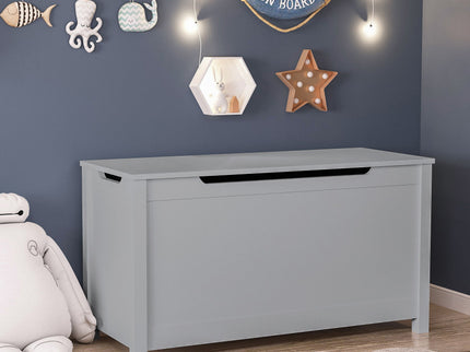 Toy Box Storage With Safety Hinged Lid