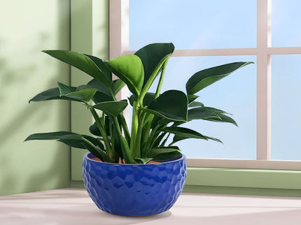 3 Pieces Ceramic Flowerpot