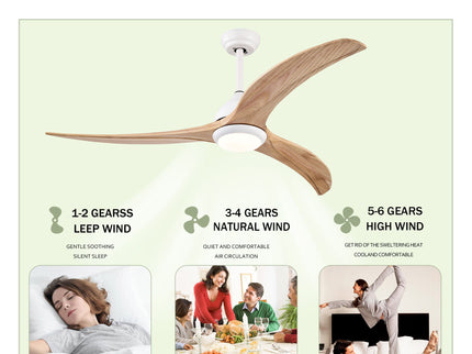 Indoor Outdoor Ceiling Fan With Light With Remote Control, Noiseless Reversible Motor, 6 Speed, 3 Color