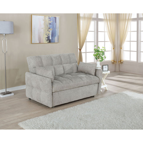 Alvara - Tufted Cushion Pull Out Sleeper Sofa Bed