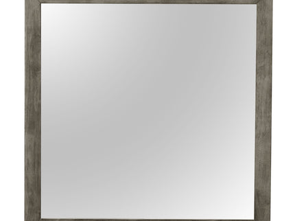 Modern Design Transitional Wall Mirror