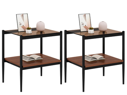Modern Rectangle End Table (Set of 2) With Tempered Glass Tabletop And Layer - Brown