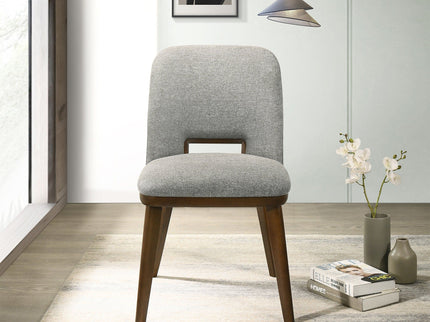 Blake - Modern Dining Chair (Set of 2)