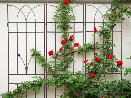 Metal Garden Trellis Rustproof For Climbing Plants Outdoor Flower Support