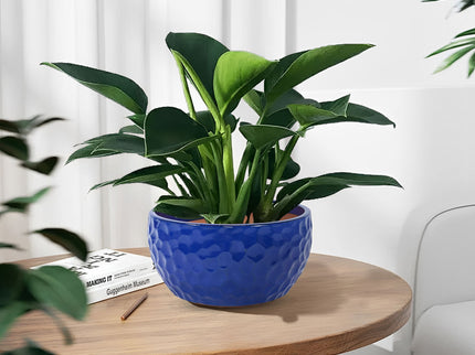3 Pieces Ceramic Flowerpot