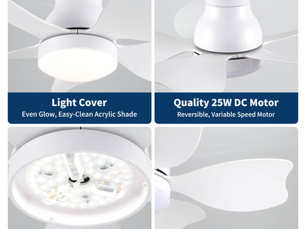Low Profile Flush Mount Ceiling Fan With Light