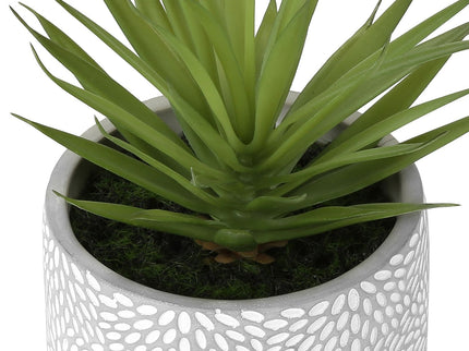 Artificial Succulent, Table Decor (Set of 2) - Green - Plastic