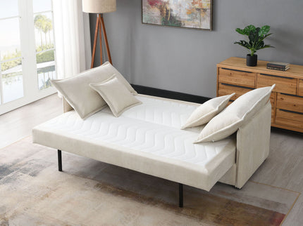 Elisea - Sleeper Sectional Sofa With 2 Toss Pillows - Beige