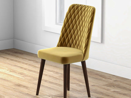Katie - Mid-Century Modern Dining Chair (Set of 2)