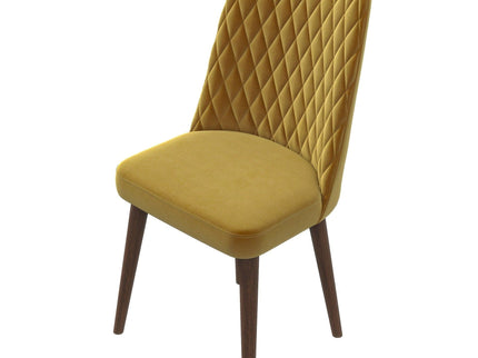 Katie - Mid-Century Modern Dining Chair (Set of 2)