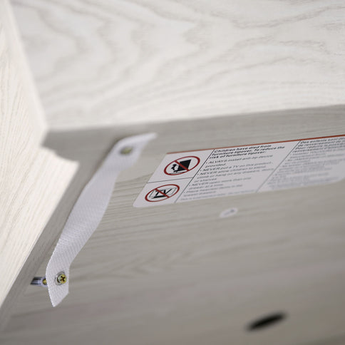 Storage Cabinet With 3 Mirrored Acrylic Doors, Adjustable Shelves