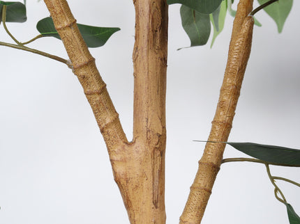 6Ft Artificial Ficus Tree With Natural Trunk In Pot For Indoor Home Office Decor - Green Leaves